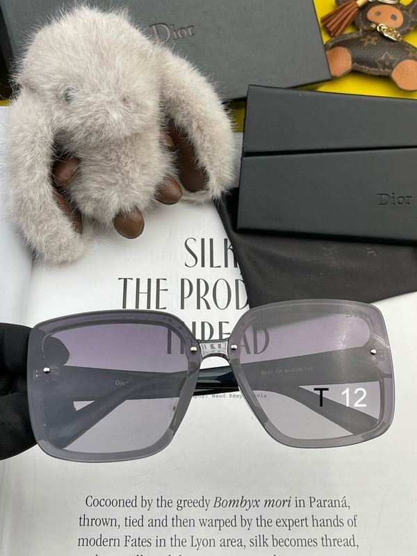 DIOR Sunglasses 629